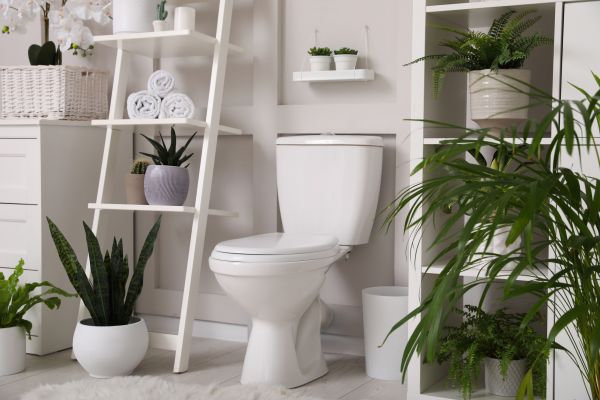 Cost of Toilet Repair in Bossier City
